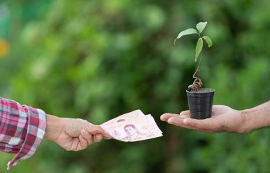 A man gives cash to a woman, who is also holding a potted plant, representing financial assistance and nurturing